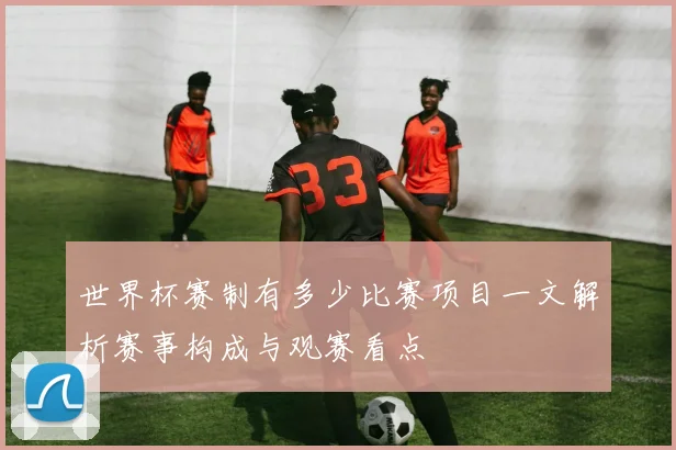 世界杯赛制有多少比赛项目一文解析赛事构成与观赛看点