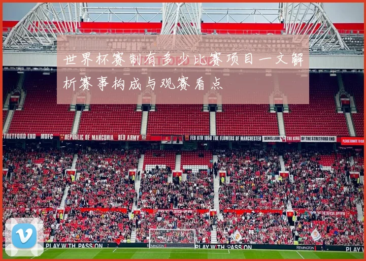 世界杯赛制有多少比赛项目一文解析赛事构成与观赛看点